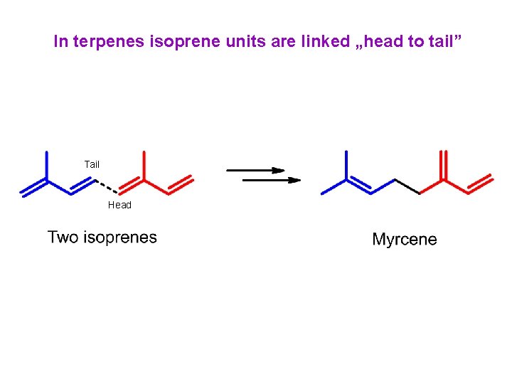 In terpenes isoprene units are linked „head to tail” Tail Head 