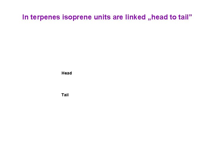 In terpenes isoprene units are linked „head to tail” Head Tail 