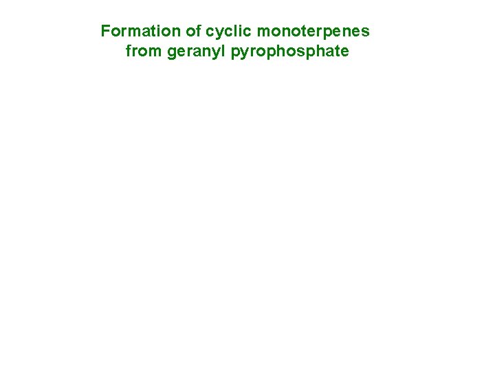 Formation of cyclic monoterpenes from geranyl pyrophosphate 