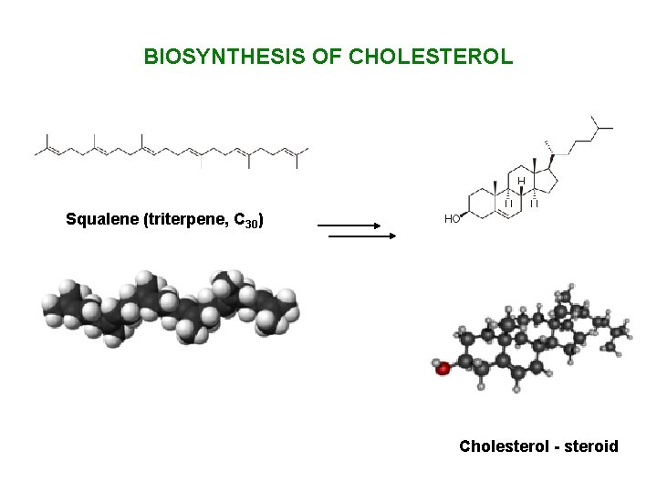 BIOSYNTHESIS OF CHOLESTEROL Squalene (triterpene, C 30) Cholesterol - steroid 
