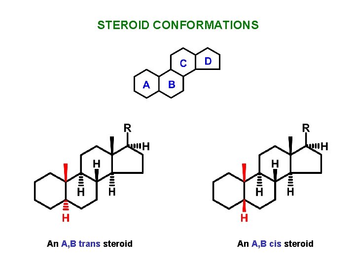 STEROID CONFORMATIONS An A, B trans steroid An A, B cis steroid 