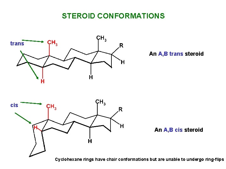 STEROID CONFORMATIONS trans An A, B trans steroid cis An A, B cis steroid