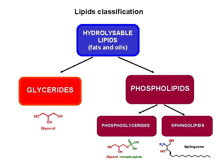 Lipids classification HYDROLYSABLE LIPIDS (fats and oils) GLYCERIDES PHOSPHOLIPIDS PHOSPHOGLYCERIDES SPHINGOLIPIDS 