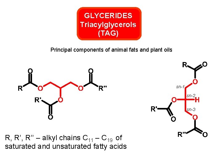 GLYCERIDES Triacylglycerols (TAG) Principal components of animal fats and plant oils sn-1 sn-2 sn-3