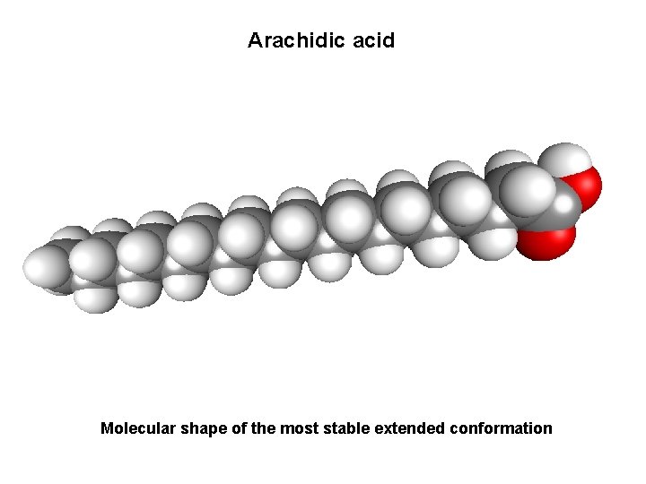 Arachidic acid Molecular shape of the most stable extended conformation 