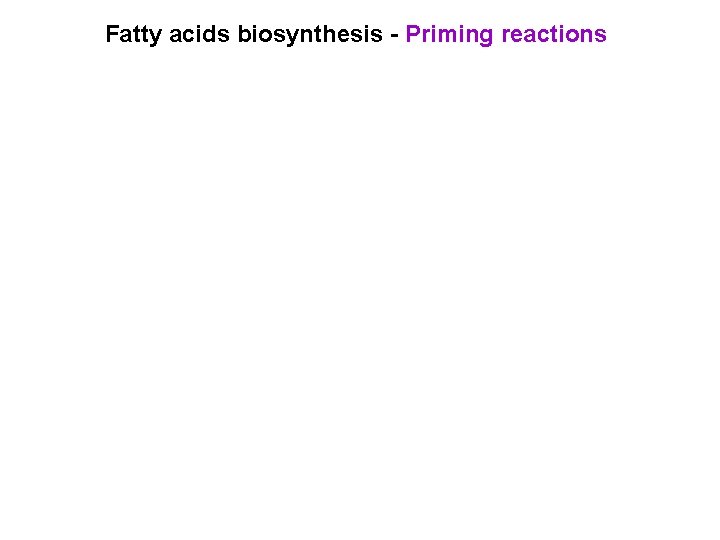 Fatty acids biosynthesis - Priming reactions 