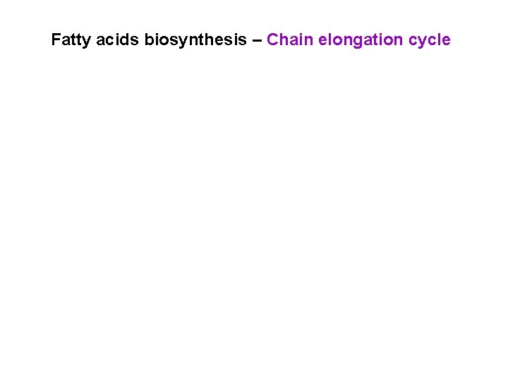 Fatty acids biosynthesis – Chain elongation cycle 