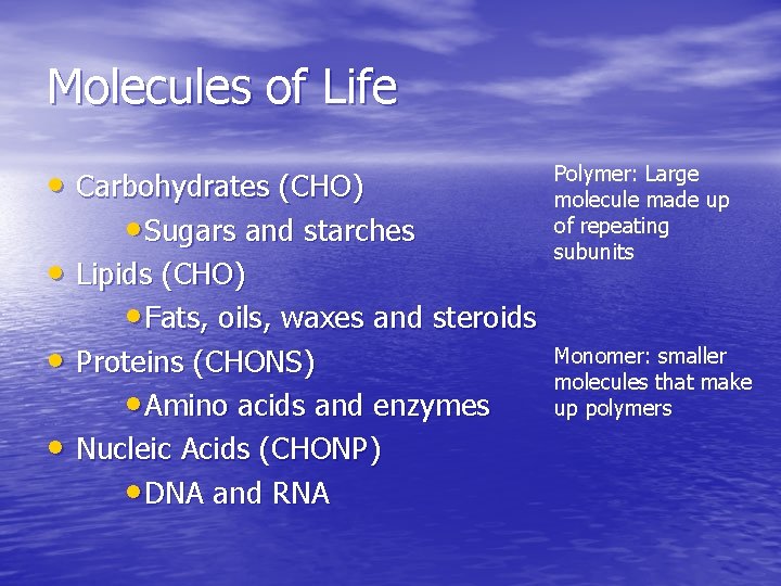 Molecules of Life • Carbohydrates (CHO) • Sugars and starches • Lipids (CHO) •