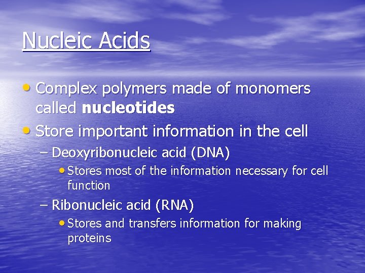 Nucleic Acids • Complex polymers made of monomers called nucleotides • Store important information