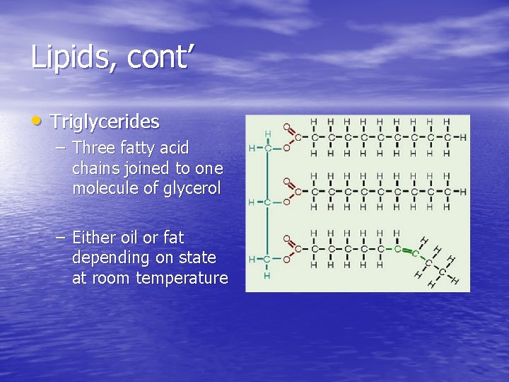 Lipids, cont’ • Triglycerides – Three fatty acid chains joined to one molecule of