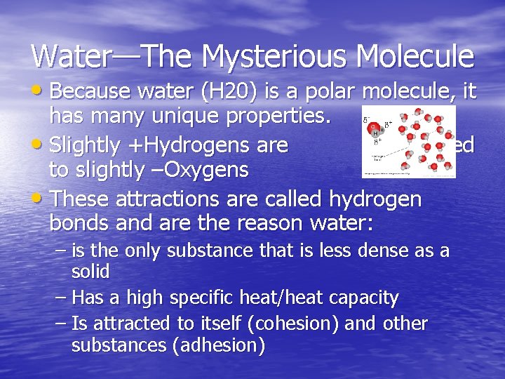 Water—The Mysterious Molecule • Because water (H 20) is a polar molecule, it has