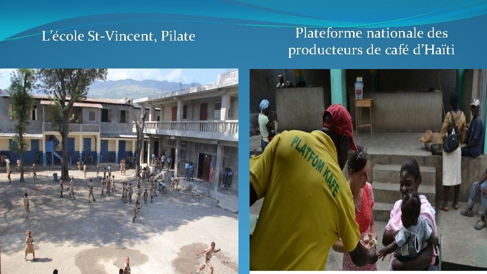 L’école St-Vincent, Pilate Plateforme nationale des producteurs de café d’Haïti 
