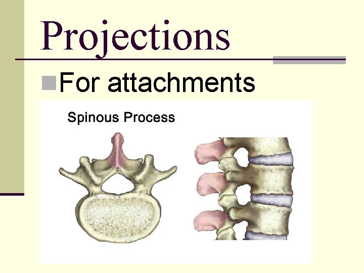 Projections n. For attachments 