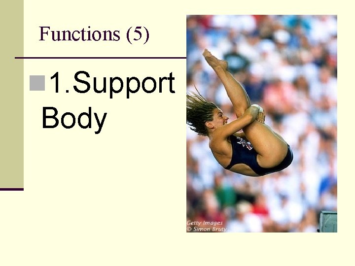 Functions (5) n 1. Support Body 