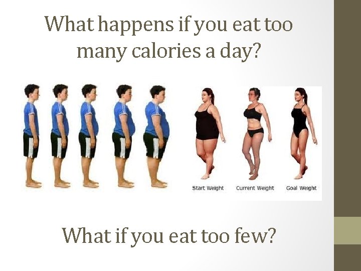 What happens if you eat too many calories a day? What if you eat
