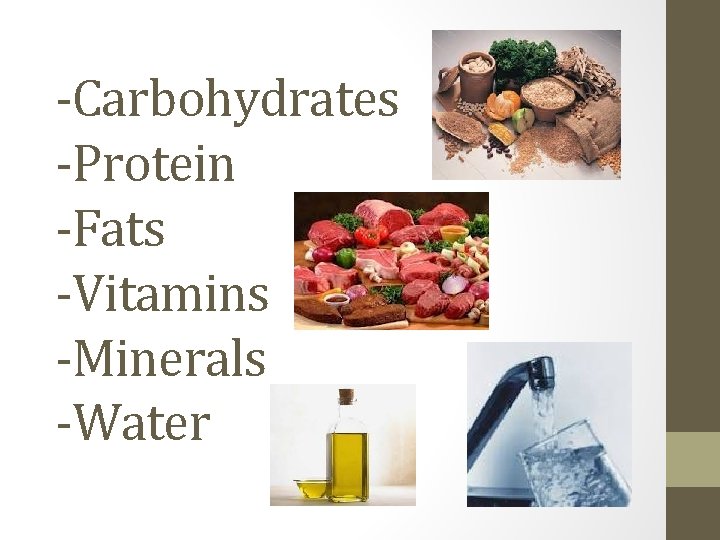 -Carbohydrates -Protein -Fats -Vitamins -Minerals -Water 