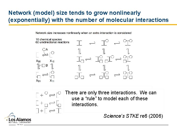 Network (model) size tends to grow nonlinearly (exponentially) with the number of molecular interactions