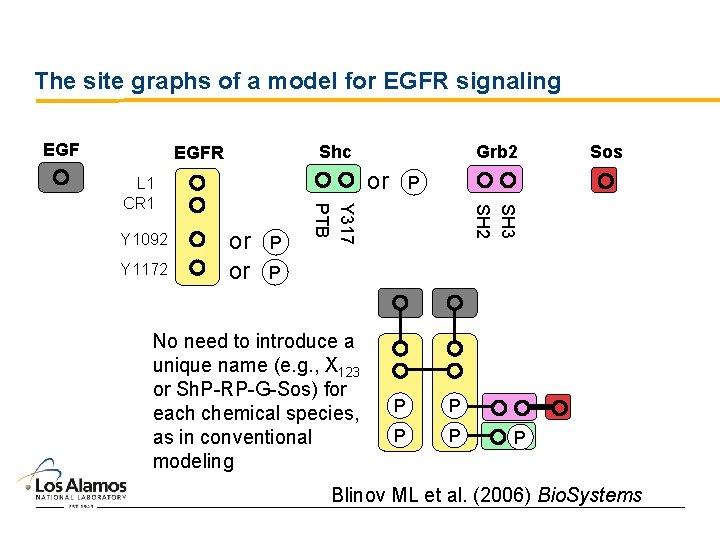 The site graphs of a model for EGFR signaling EGF or P SH 3
