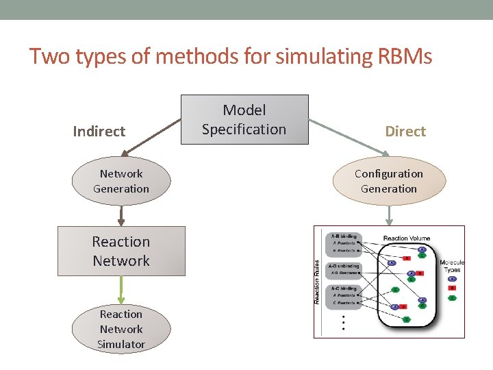 Two types of methods for simulating RBMs Indirect Network Generation Reaction Network Simulator Model