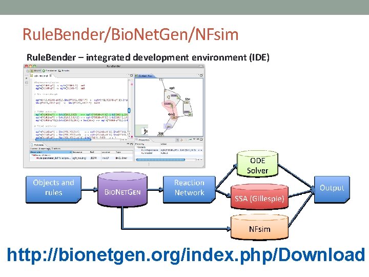Rule. Bender/Bio. Net. Gen/NFsim Rule. Bender – integrated development environment (IDE) http: //bionetgen. org/index.