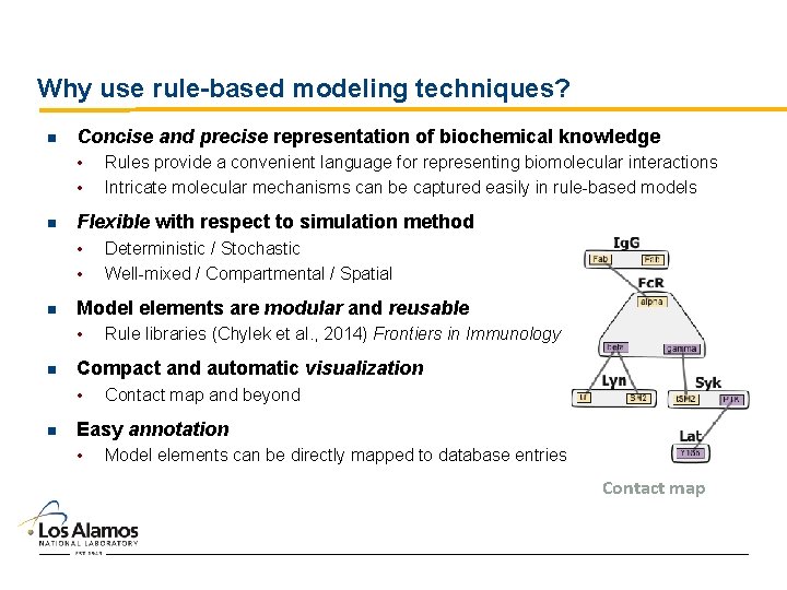 Why use rule-based modeling techniques? n Concise and precise representation of biochemical knowledge •