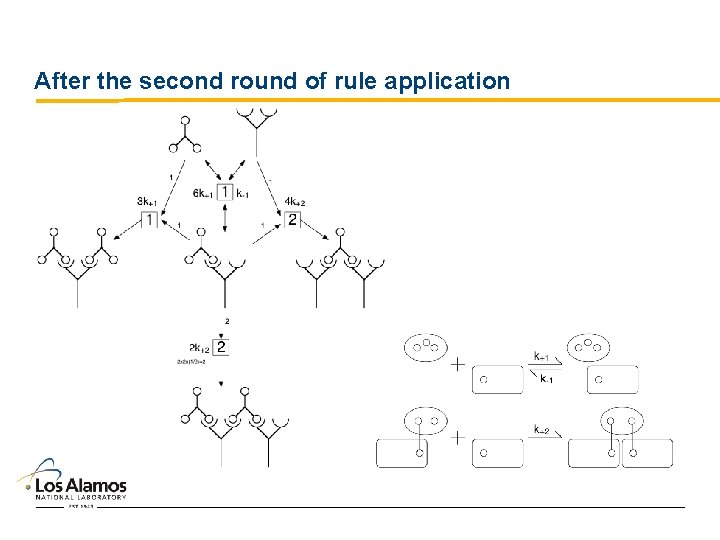 After the second round of rule application 