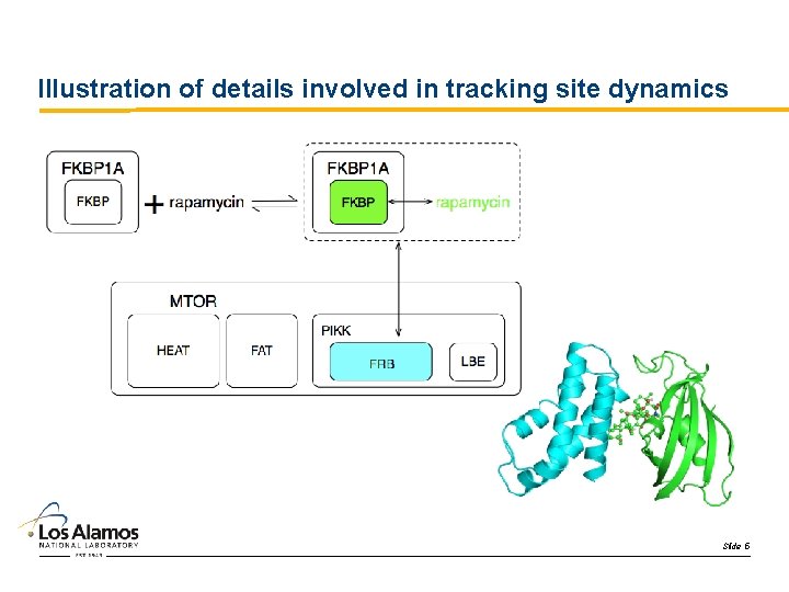 Illustration of details involved in tracking site dynamics Slide 5 