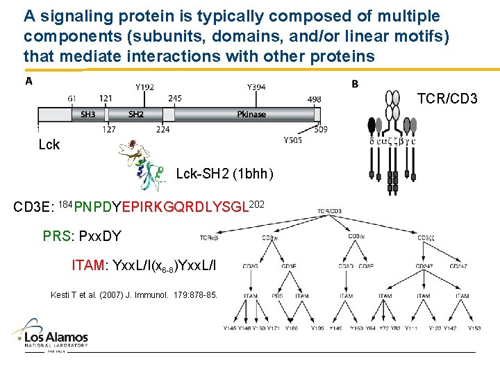 A signaling protein is typically composed of multiple components (subunits, domains, and/or linear motifs)