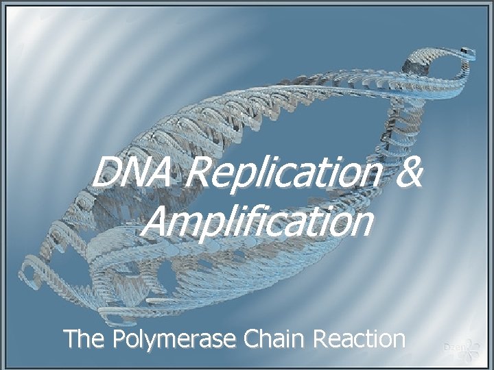 DNA Replication & Amplification The Polymerase Chain Reaction 