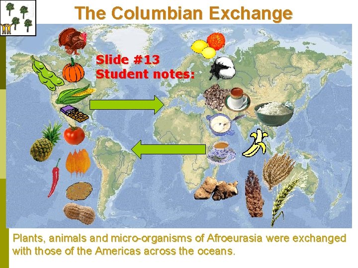 The Columbian Exchange Slide #13 Student notes: Plants, animals and micro-organisms of Afroeurasia were
