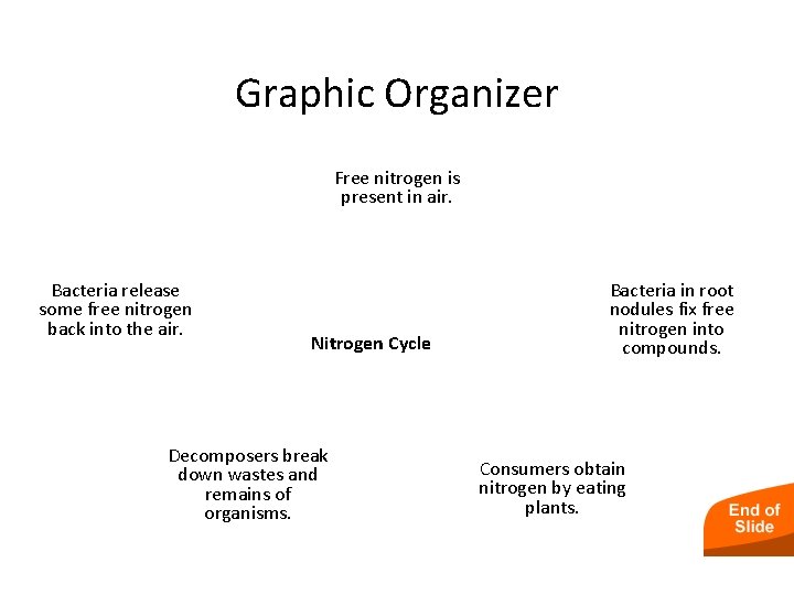 Graphic Organizer Free nitrogen is present in air. Bacteria release some free nitrogen back