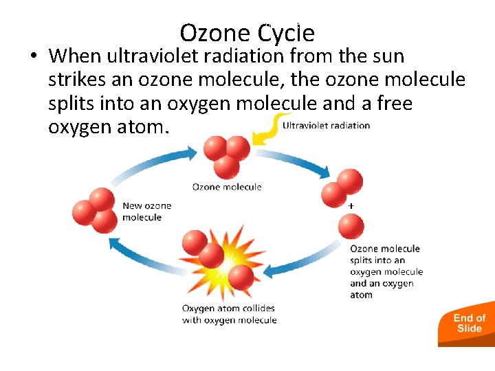Global Changes in the Atmosphere Ozone Cycle • When ultraviolet radiation from the sun