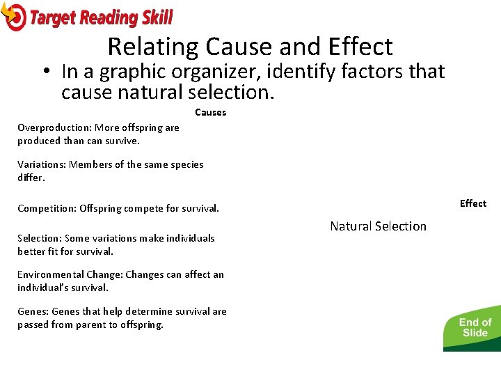 - Darwin’s Theory Relating Cause and Effect • In a graphic organizer, identify factors