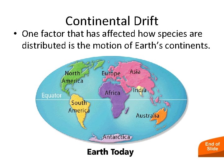 - Biogeography Continental Drift • One factor that has affected how species are distributed