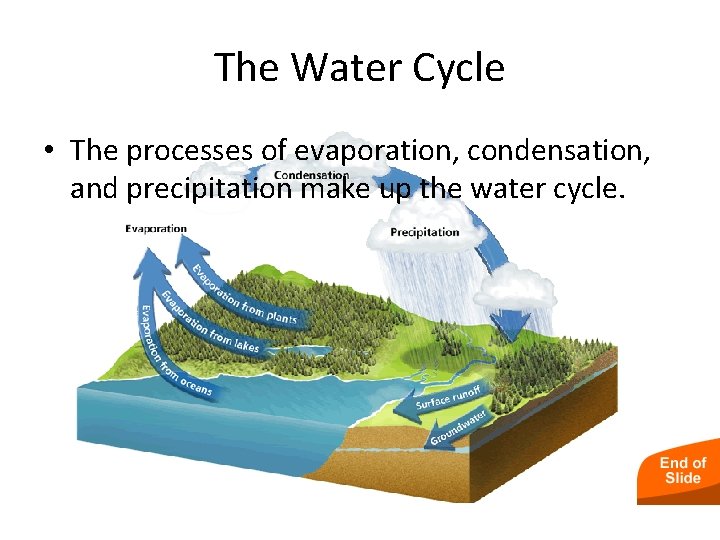 - Cycles of Matter The Water Cycle • The processes of evaporation, condensation, and