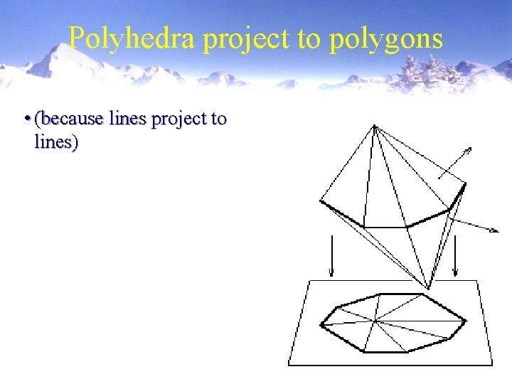 Polyhedra project to polygons • (because lines project to lines) 