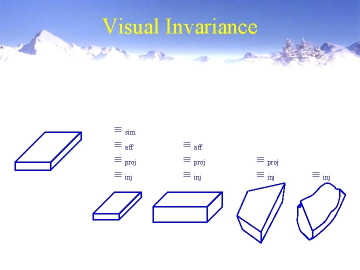 Visual Invariance sim aff proj inj 