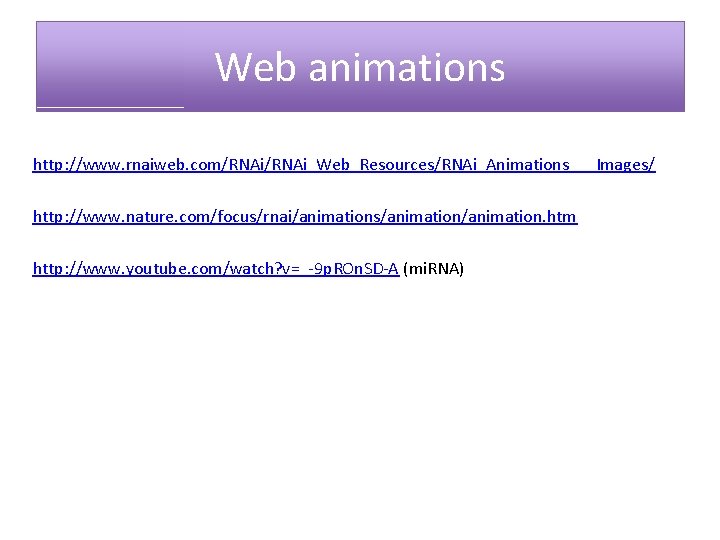 Web animations http: //www. rnaiweb. com/RNAi_Web_Resources/RNAi_Animations___Images/ http: //www. nature. com/focus/rnai/animations/animation. htm http: //www. youtube.