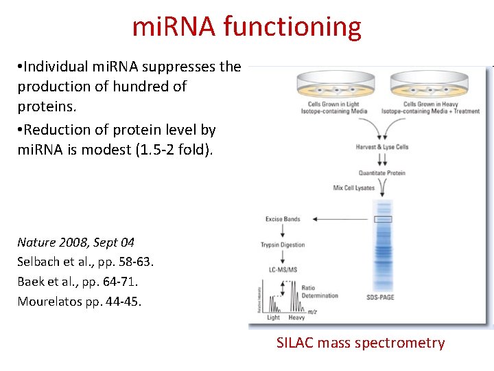 mi. RNA functioning • Individual mi. RNA suppresses the production of hundred of proteins.