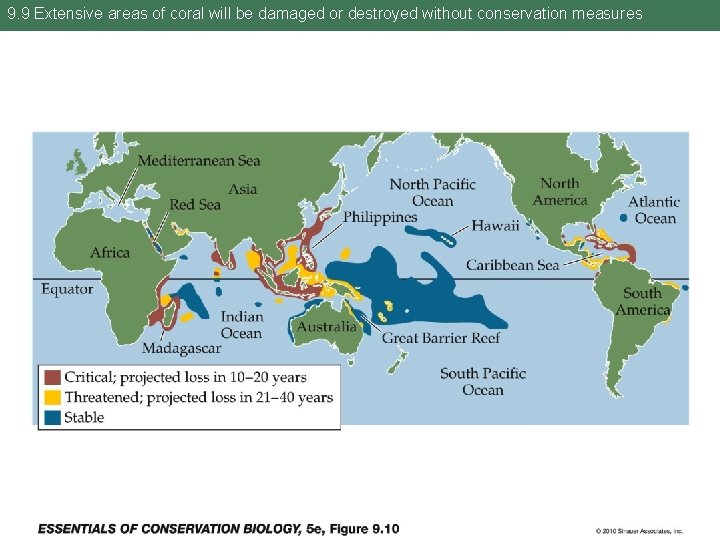 9. 9 Extensive areas of coral will be damaged or destroyed without conservation measures