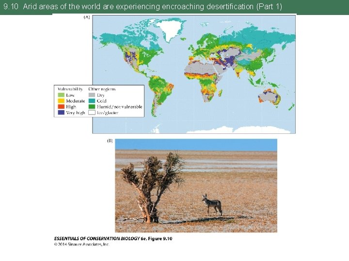 9. 10 Arid areas of the world are experiencing encroaching desertification (Part 1) 