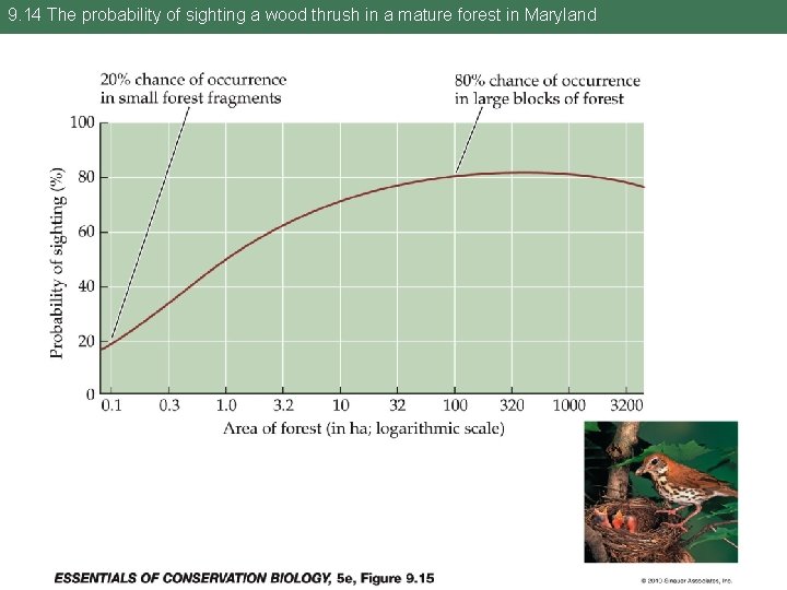 9. 14 The probability of sighting a wood thrush in a mature forest in