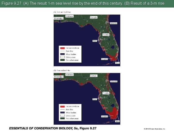 Figure 9. 27 (A) The result 1 -m sea level rise by the end