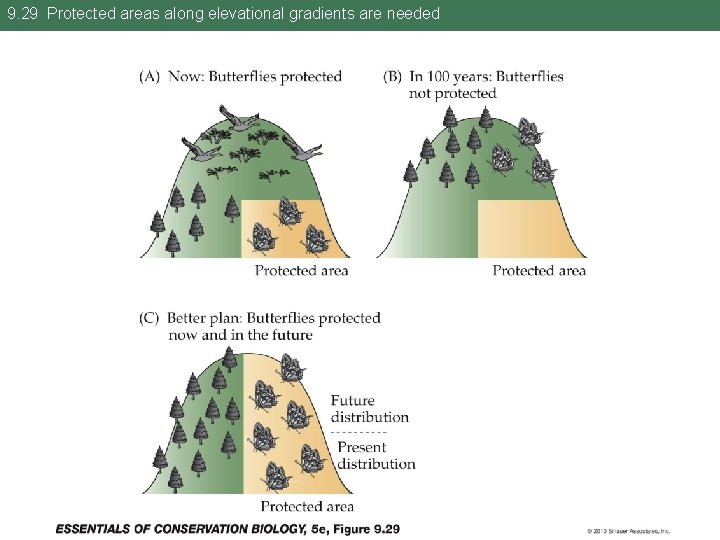 9. 29 Protected areas along elevational gradients are needed 