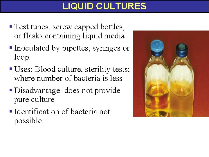 LIQUID CULTURES § Test tubes, screw capped bottles, or flasks containing liquid media §