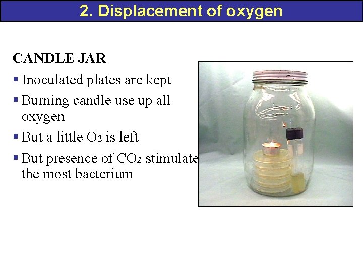 2. Displacement of oxygen CANDLE JAR § Inoculated plates are kept § Burning candle