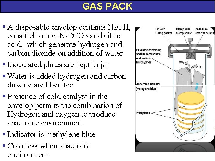 GAS PACK § A disposable envelop contains Na. OH, cobalt chloride, Na 2 CO