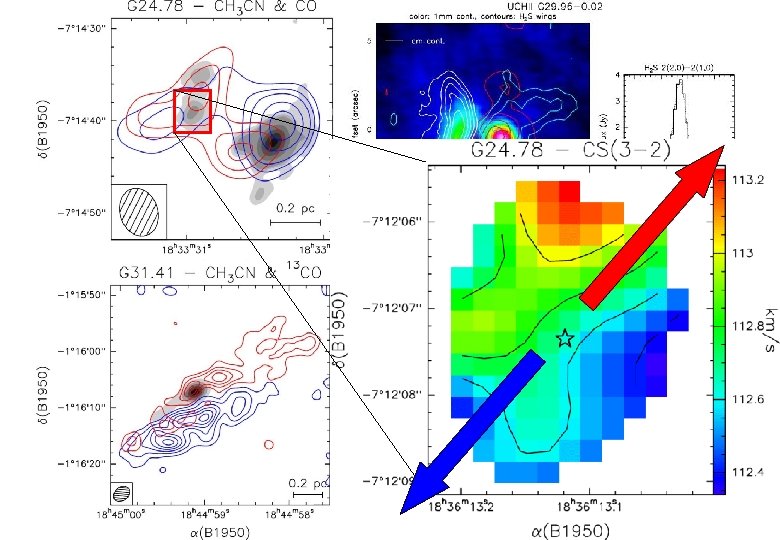 Furuya et al. (2002) Beltran et al. (2004) 