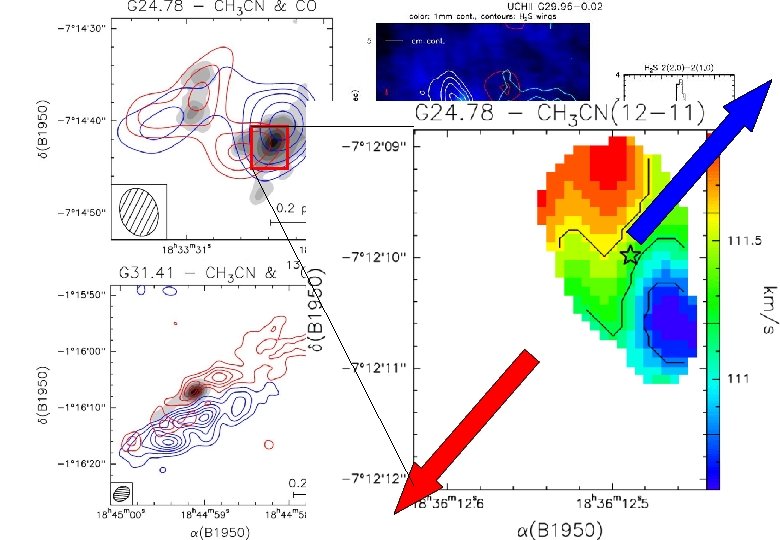 Furuya et al. (2002) Beltran et al. (2004) 