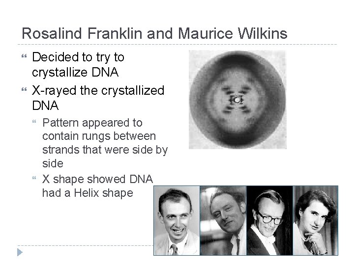 Rosalind Franklin and Maurice Wilkins Decided to try to crystallize DNA X-rayed the crystallized